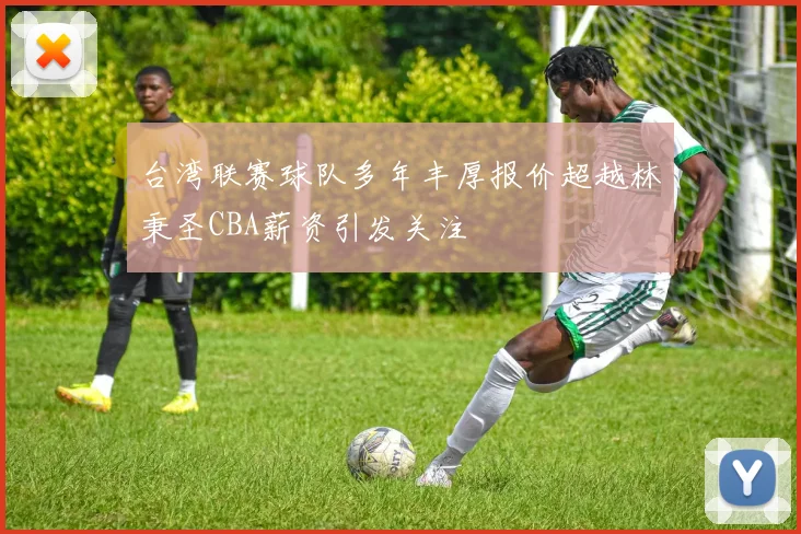 台湾联赛球队多年丰厚报价超越林秉圣CBA薪资引发关注